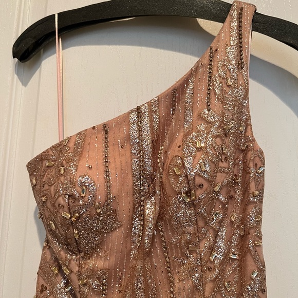 Size 2 Nina Canacci Dusty Rose One-Shoulder Tulle Overskirt Gown - Picture 3 of 3